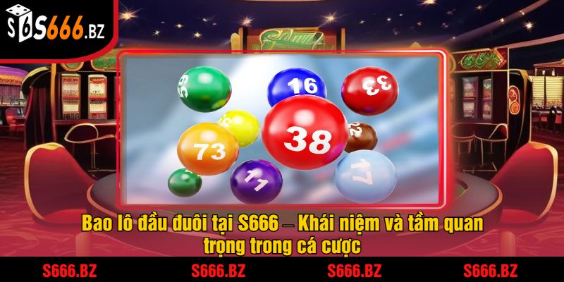 Bao lô đầu đuôi tại S666 – Khái niệm và tầm quan trọng trong cá cược