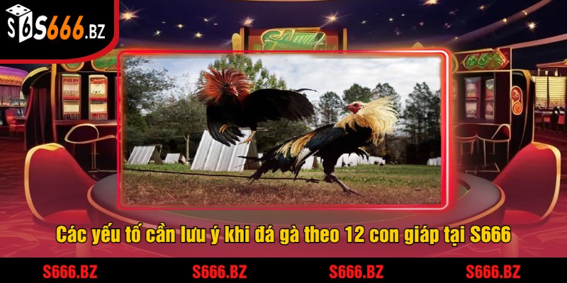 Các yếu tố cần lưu ý khi đá gà theo 12 con giáp tại S666