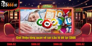Giới thiệu tổng quan về soi cầu lô đề tại S666